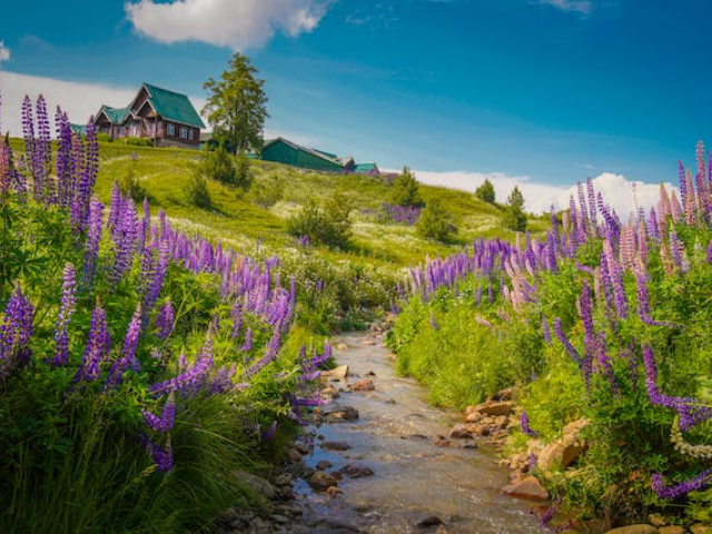 Category Honeymoon Special